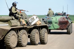 Nga, Đức điện đàm về căng thẳng tại miền Đông Ukraine